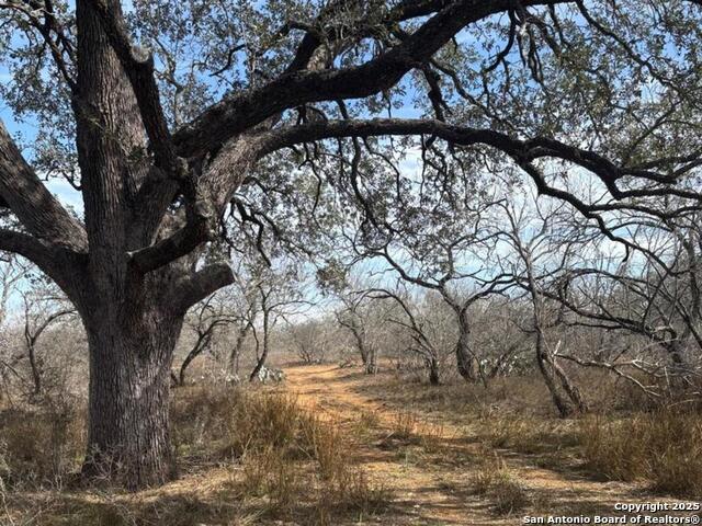 Image 14 of 16 For 946 County Road 2863