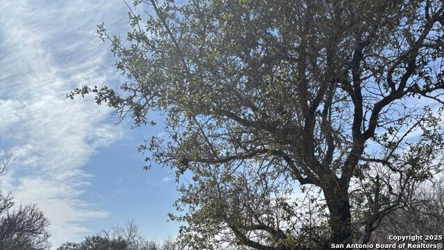 Image 15 of 16 For 946 County Road 2863