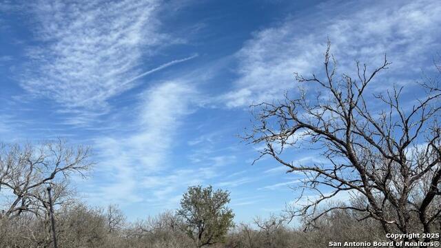 Image 4 of 16 For 946 County Road 2863