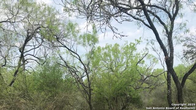 Image 6 of 16 For 946 County Road 2863