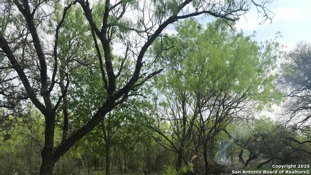 Image 7 of 16 For 946 County Road 2863