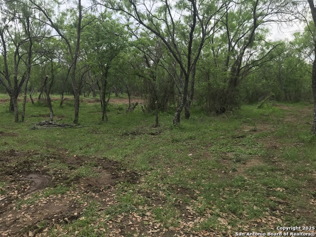 Image 9 of 16 For 946 County Road 2863