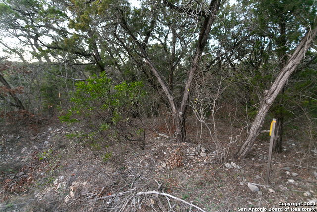 Image 8 of 17 For 186 County Road 2709
