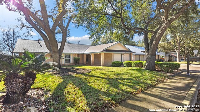 Image 10 of 42 For 2902 Oak Leigh St