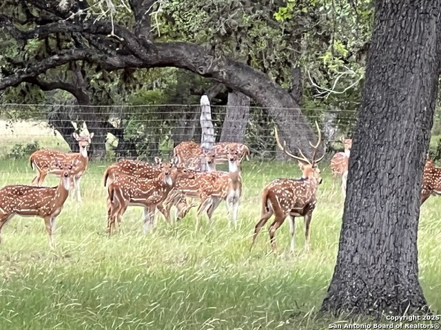 Image 12 of 27 For 416 Cattail Dr