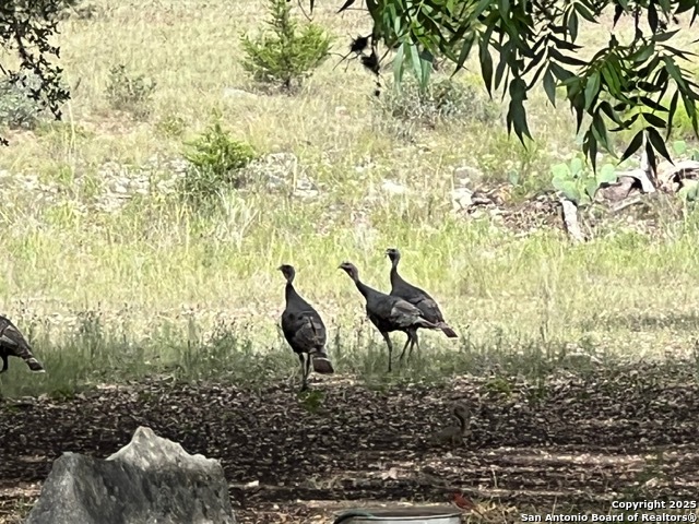 Image 13 of 27 For 416 Cattail Dr