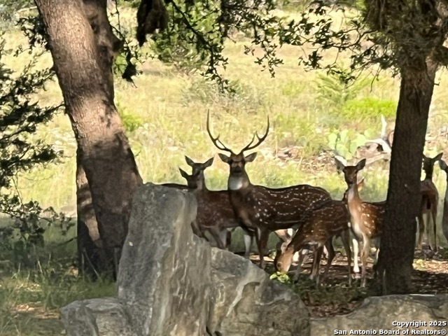 Image 14 of 27 For 416 Cattail Dr