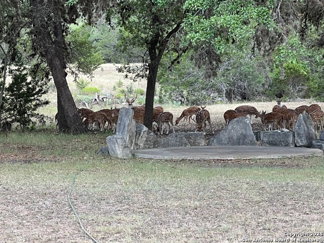 Image 15 of 27 For 416 Cattail Dr