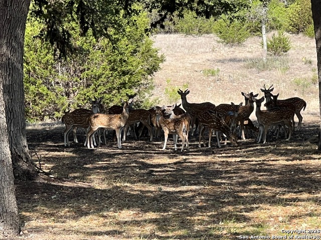 Image 2 of 27 For 416 Cattail Dr