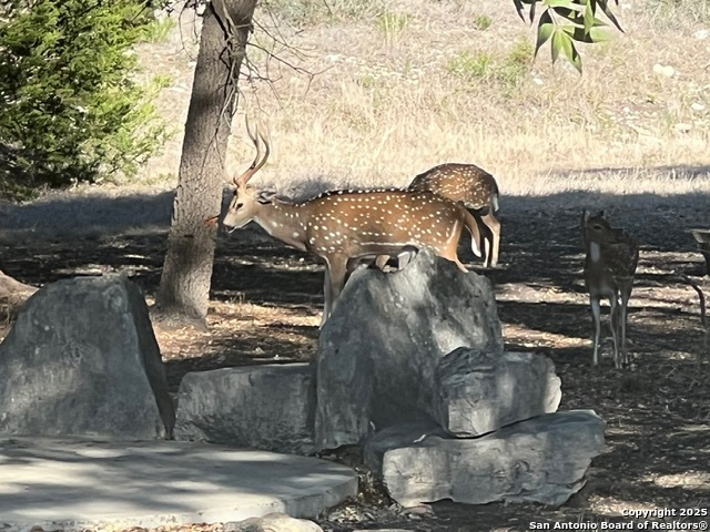 Image 3 of 27 For 416 Cattail Dr