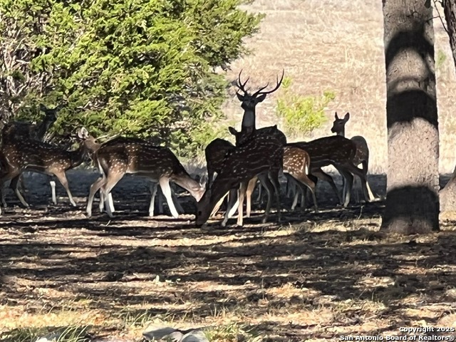 Image 4 of 27 For 416 Cattail Dr