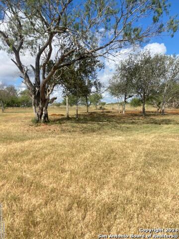 Listing photo id 20 for 3499 County Rd 476