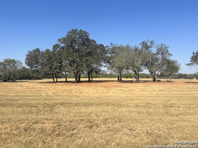 Listing photo id 22 for 3499 County Rd 476