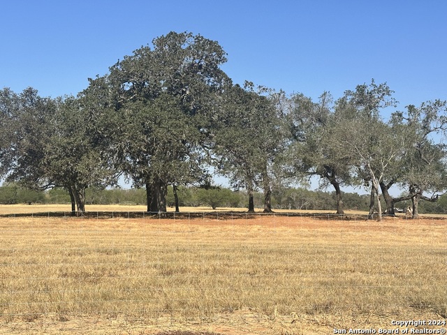 Listing photo id 23 for 3499 County Rd 476