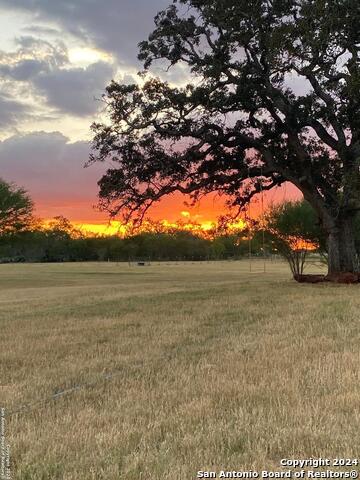Listing photo id 1 for 3499 County Rd 476