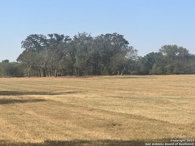 Listing photo id 28 for 3499 County Rd 476