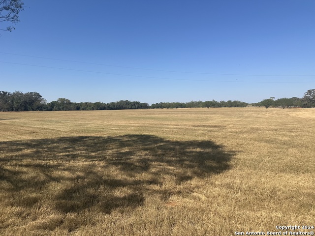 Listing photo id 32 for 3499 County Rd 476