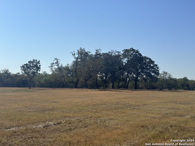 Listing photo id 35 for 3499 County Rd 476
