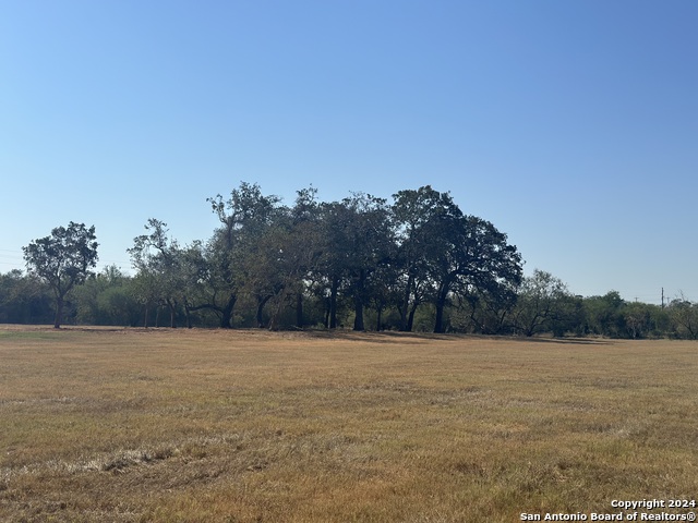 Listing photo id 36 for 3499 County Rd 476