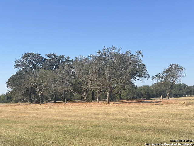 Listing photo id 37 for 3499 County Rd 476