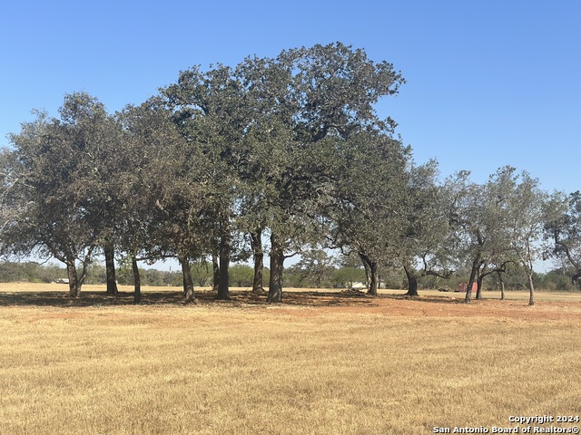 Listing photo id 38 for 3499 County Rd 476