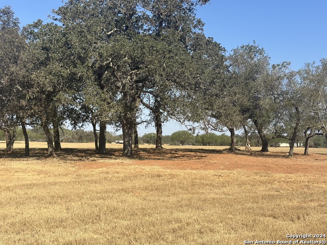 Listing photo id 39 for 3499 County Rd 476
