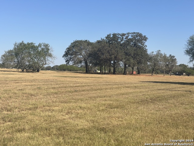 Listing photo id 41 for 3499 County Rd 476