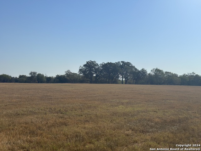 Listing photo id 43 for 3499 County Rd 476