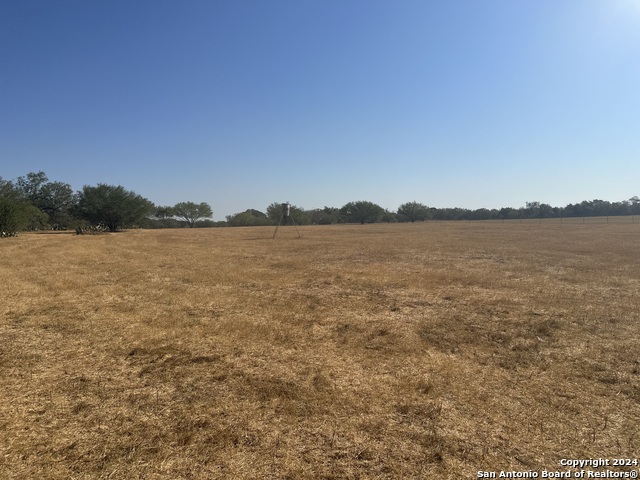 Listing photo id 46 for 3499 County Rd 476