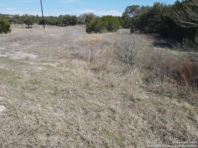 Listing photo id 3 for 111 Dodder  