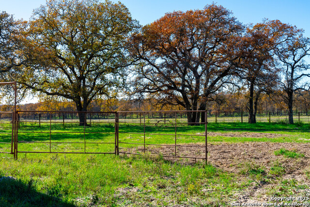 Listing photo id 20 for Tbd S State Hwy 123