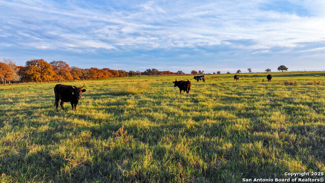 Listing photo id 26 for Tbd S State Hwy 123