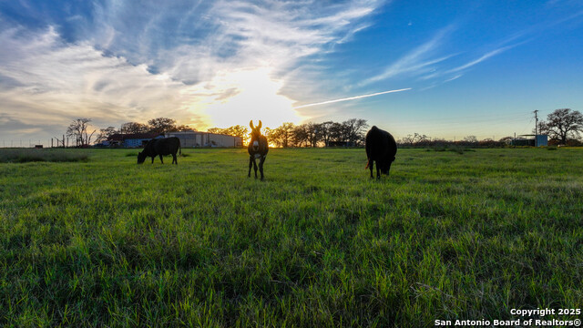 Listing photo id 27 for Tbd S State Hwy 123