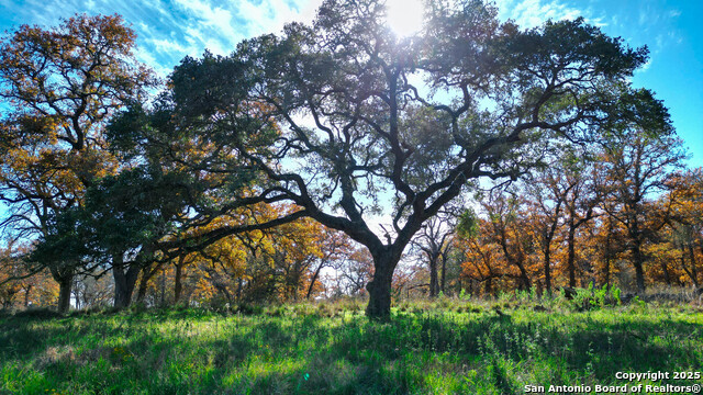 Listing photo id 1 for Tbd S State Hwy 123