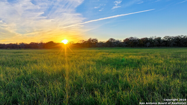 Listing photo id 28 for Tbd S State Hwy 123