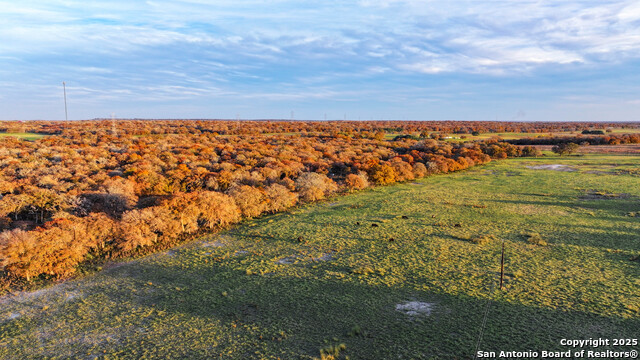 Listing photo id 30 for Tbd S State Hwy 123