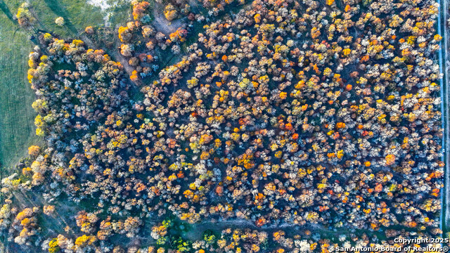 Listing photo id 31 for Tbd S State Hwy 123