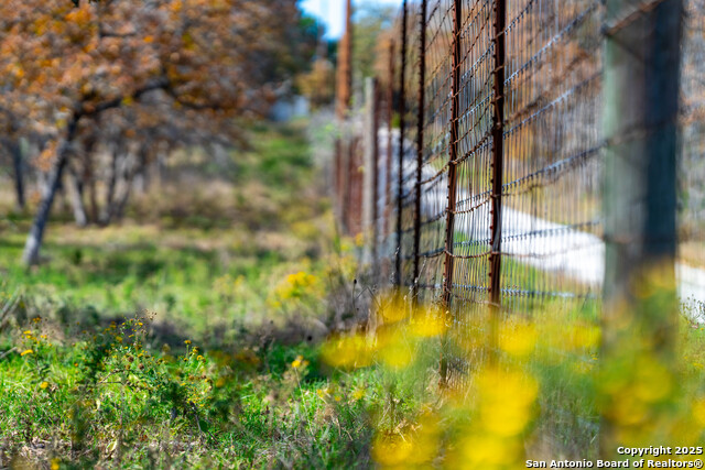 Listing photo id 34 for Tbd S State Hwy 123