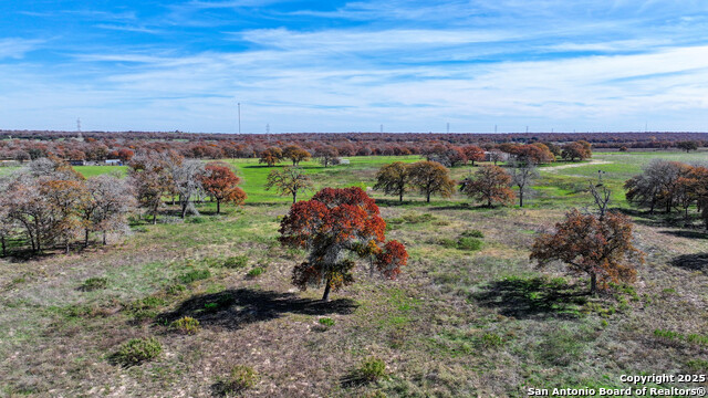 Listing photo id 38 for Tbd S State Hwy 123