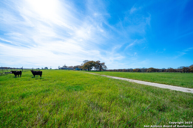 Listing photo id 39 for Tbd S State Hwy 123