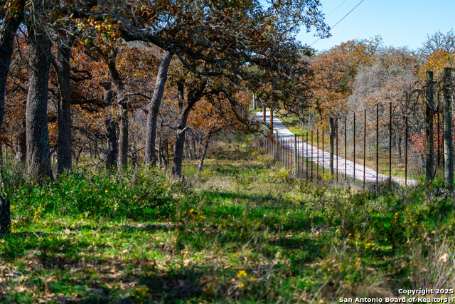 Listing photo id 40 for Tbd S State Hwy 123