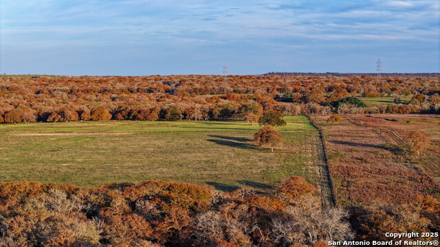 Listing photo id 47 for Tbd S State Hwy 123