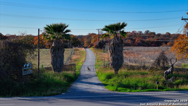 Listing photo id 3 for Tbd S State Hwy 123