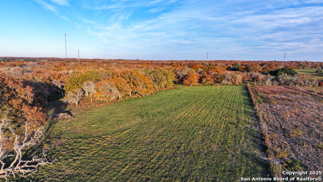 Listing photo id 48 for Tbd S State Hwy 123