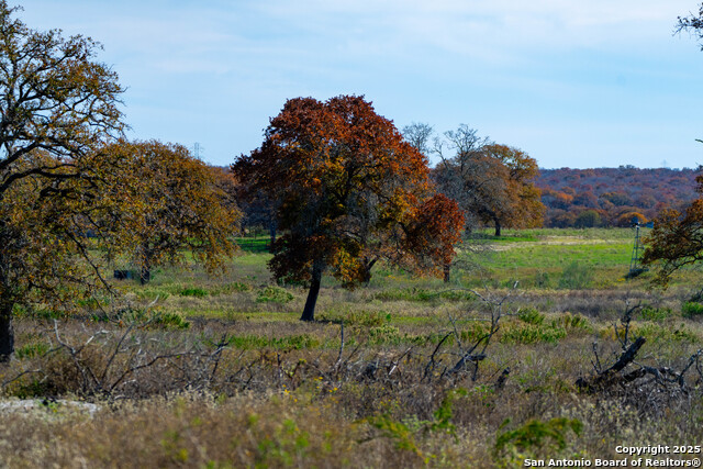Listing photo id 7 for Tbd S State Hwy 123