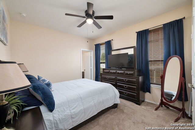 Image 10 of 21 For 714 Canadian Goose