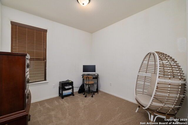 Image 12 of 21 For 714 Canadian Goose