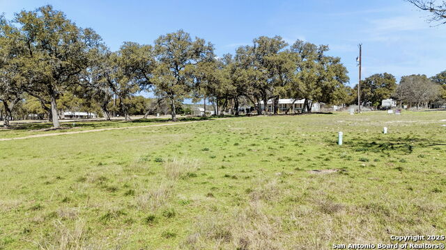 Image 10 of 17 For 1113 Mesquite