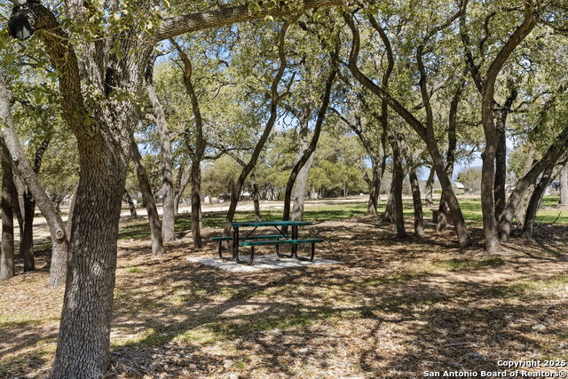 Image 13 of 17 For 1113 Mesquite