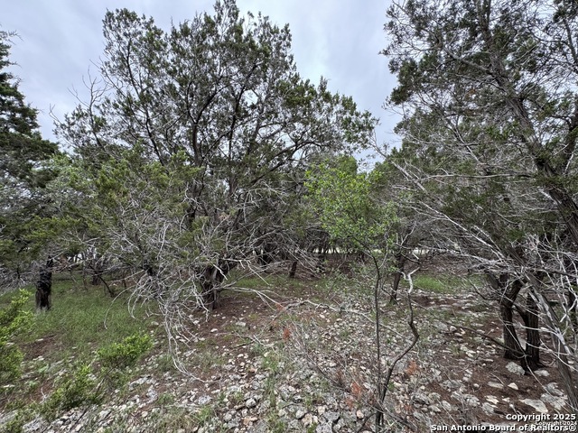 Listing photo id 0 for 1774 Brook Valley
